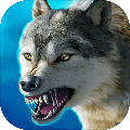 Wolfclan