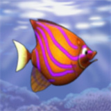 喂魚(yú)狂潮
