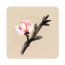 冬蜃樓