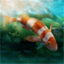 水族館設(shè)計(jì)師