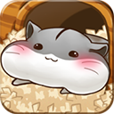 Hamster Life