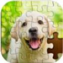 動物之斗拼圖