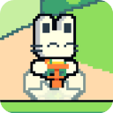 pogo runner