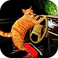 瘋狂拉力車手