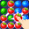 Fruit Fancy