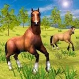 野馬騎馬
