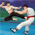 功夫大师手机版