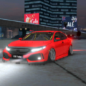 多人汽車(chē)聚會(huì)