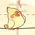 鳥兒二重唱