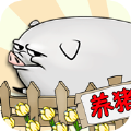 要富多養(yǎng)豬