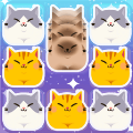 土耳其猫消除