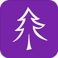 小樹優(yōu)選