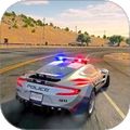 警車駕駛事件