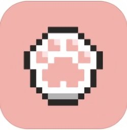 吉貓的故事