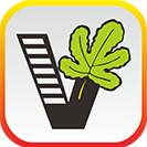 我要自學(xué)網(wǎng)app