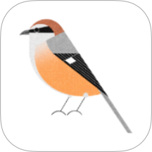 孤獨(dú)的鳥類大全