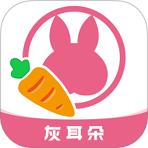 灰耳朵陪寵