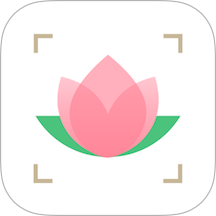 識花大師