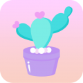 互動(dòng)桌面app