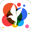 360小鳥壁紙app