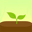 forest最新版