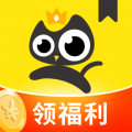 飛貓小說