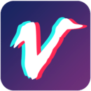 視頻豆豆vip版