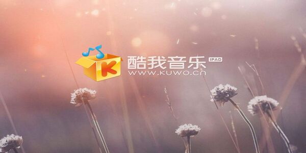 kuwo音樂盒版本大全-kuwo音樂所有版本大全