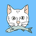 貓跨欄正版