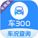 車300專業(yè)版軟件