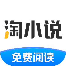 淘小說