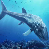 魚龍模擬器中文版