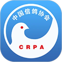 中國信鴿協(xié)會(huì)