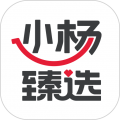 小楊臻選