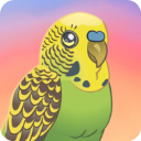 鳥(niǎo)類世界游戲