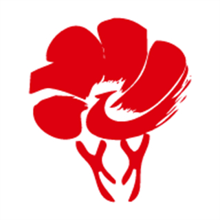放新辦軟件