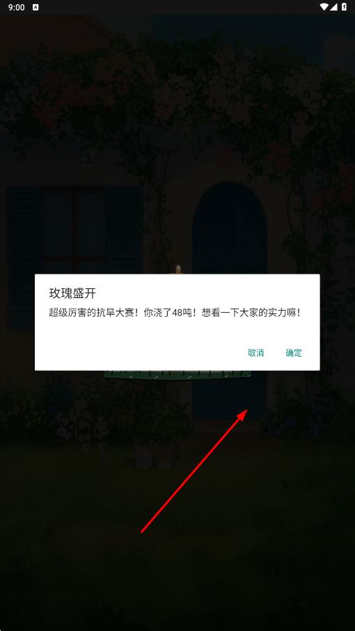 玫瑰盛开