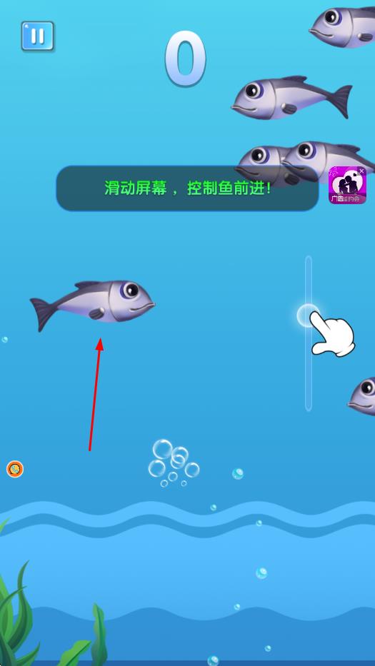 鱼吃鱼谁怕谁