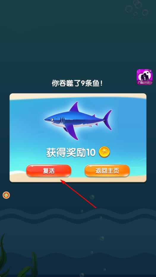 鱼吃鱼谁怕谁