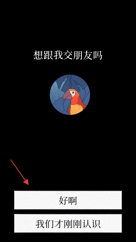 孤鸟bird alone