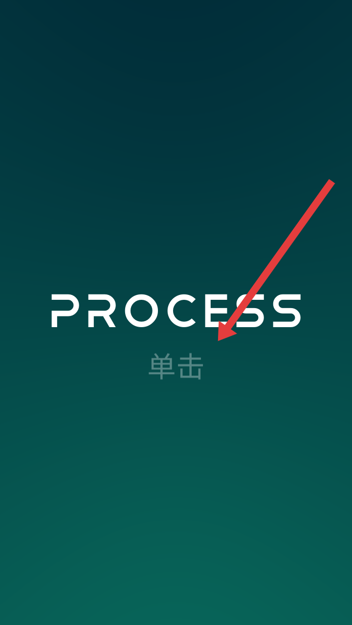 PROCESS