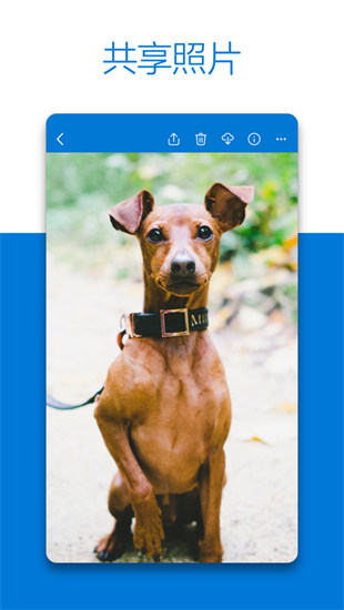 OneDrive蘋果手機版 v13.22 iphone版 2