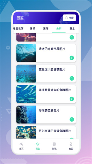 海來(lái)了 v1.1 安卓版 2