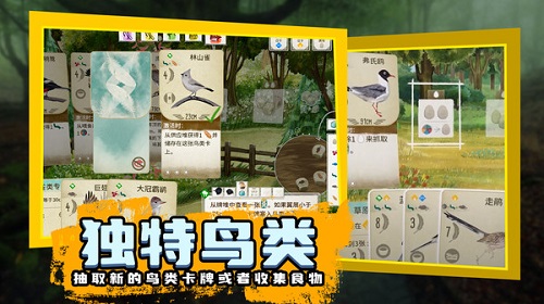 鳥(niǎo)類(lèi)觀察家 v1.1.101 手機(jī)版 3