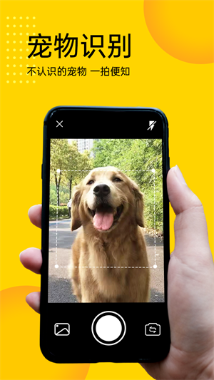 寵物拍拍識別專家 v1.0.1 手機(jī)最新版 2