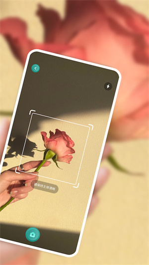 識別花 v1.1 安卓版 0