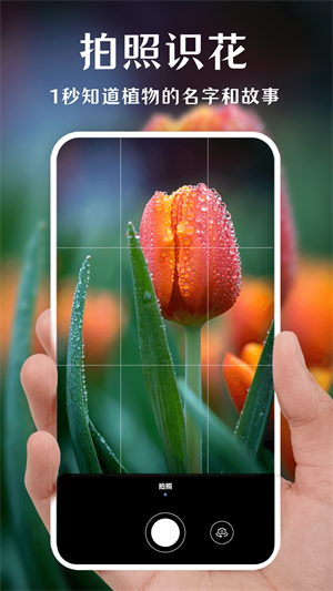 一鍵拍照識(shí)花 v3.2.0 最新版 1