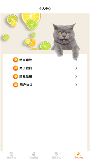 喵語翻譯器 v1.1 最新版 2