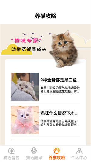 喵語翻譯器 v1.1 最新版 1