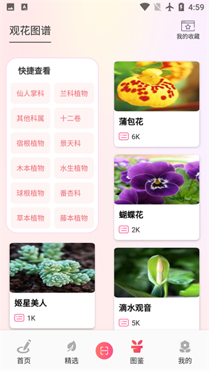 闌舒養(yǎng)花寶 v1.2 安卓版 2